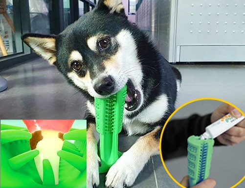 morsino spazzolino per cani come funziona